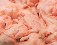 Споживання м’яса птиці в Україні зросте цього року до 25,2 кг на людину